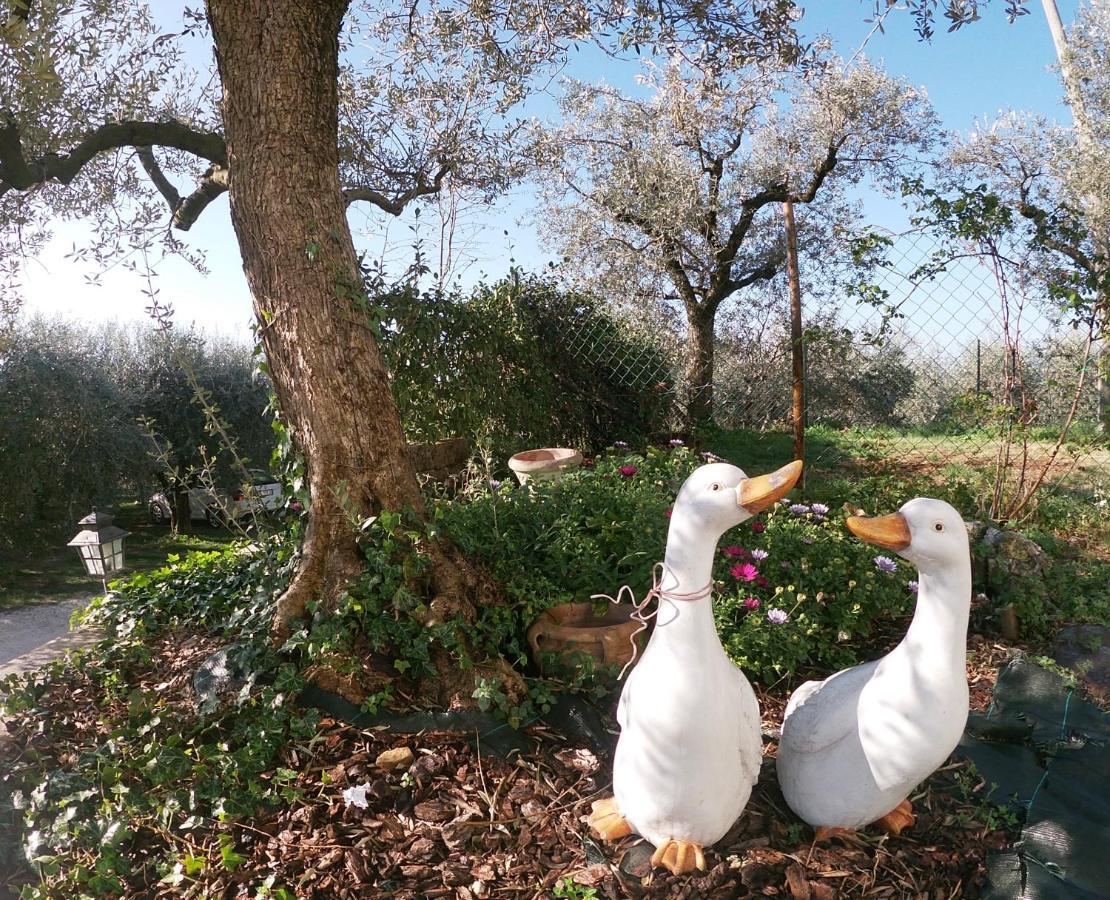 Agriturismo B&B Le Casette Sul Garda Cavaion Veronese Exterior foto